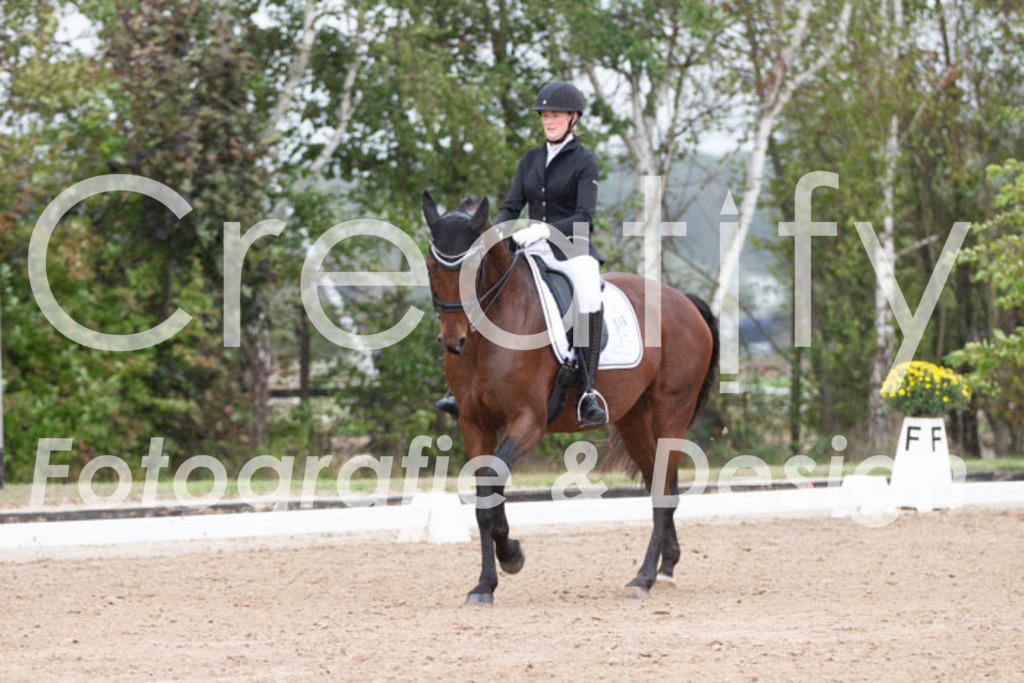 IMG_7186 | Creatify Fotografie