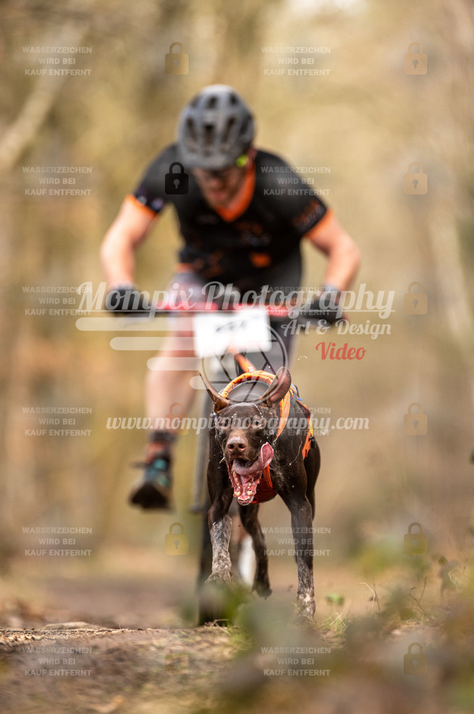 SPA_2023_SAM_Scooter-9 | PayLife