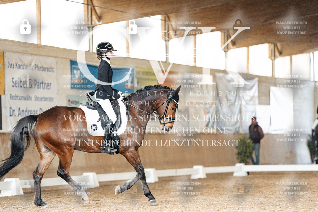 CK902004 | Turnierfotografie Pferdefotografie Trier Rheinland-Pfalz Pferdesport Reitsport Tierfotografie Sportfotografie Pferdevideo Pferdevideografie Equestrianvideography equestrianphotography  - Realisiert mit Pictrs.com