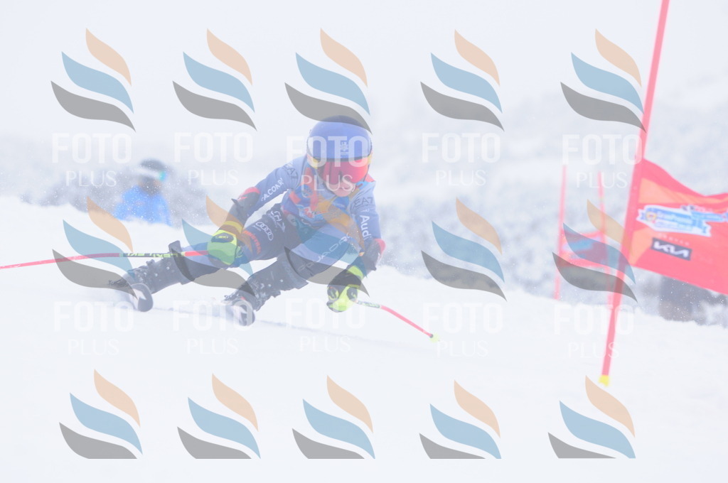 C2371 | holidayphoto