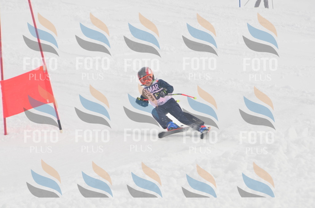 A5238 | holidayphoto