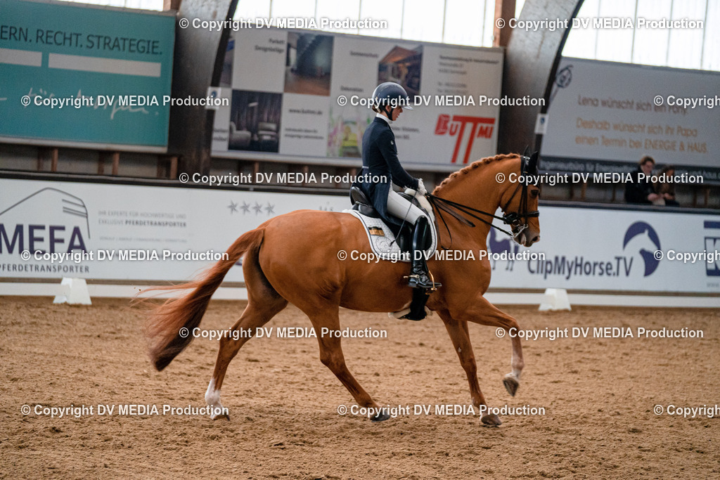 Kranichstein Tag 1-436 | dv-media-shop - Realisiert mit Pictrs.com