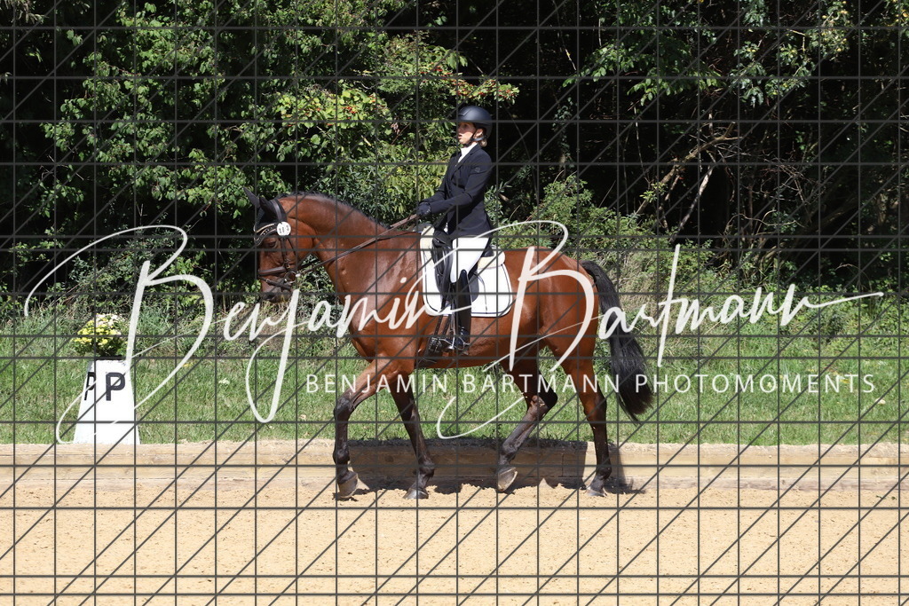 IMG_6566 | Benjamin Bartmann Photomoments