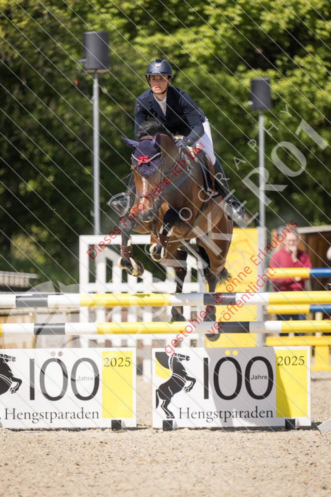 IMG_5286 | Sport-, Event- und Tierfotos in Profiqualität. Einfach auswählen, bestellen und herunterladen. Dein Moment – perfekt festgehalten.