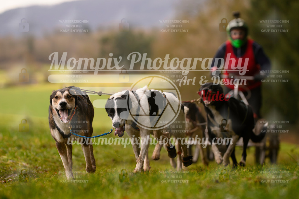 MompixPhotography_2SSTSSBW_2025_SO_Kart-33 | PayLife