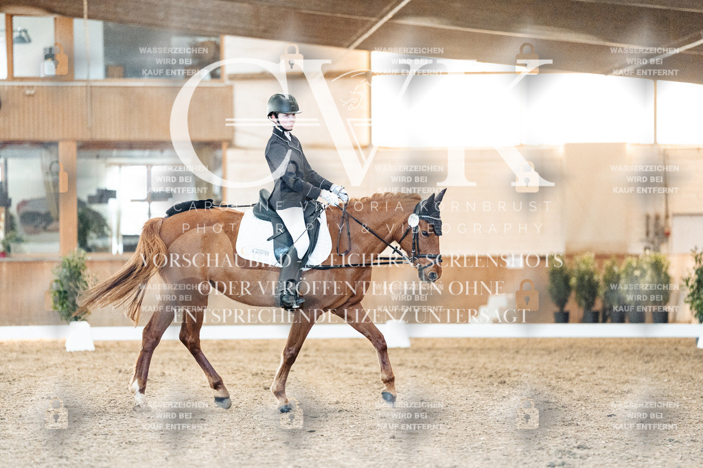 CK906581 | Turnierfotografie Pferdefotografie Trier Rheinland-Pfalz Pferdesport Reitsport Tierfotografie Sportfotografie Pferdevideo Pferdevideografie Equestrianvideography equestrianphotography  - Realisiert mit Pictrs.com