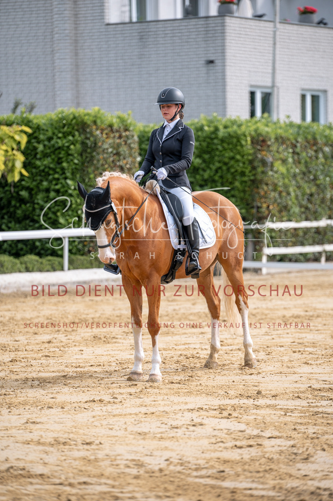 Schugtsche-Aluta25-40.DressurprfA_-175 | Schugtsche Fotografie - Realisiert mit Pictrs.com