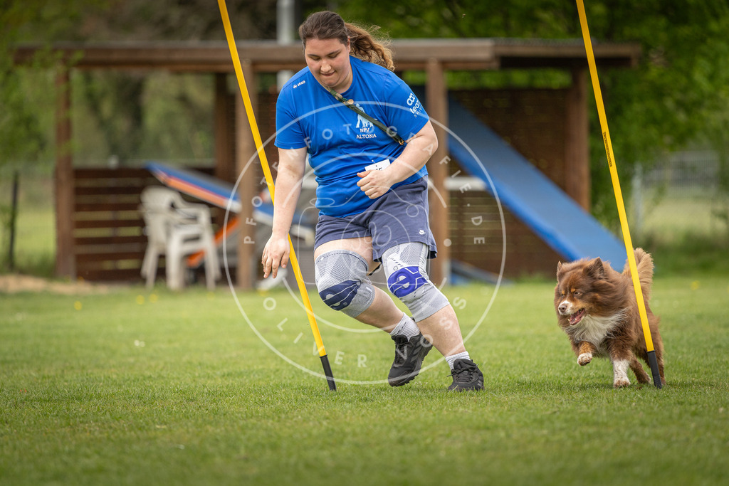 Pfotenfotografie_DV3A1927 | Hundefotografie, Tierfotograf, Pfotenfotografie, Fotoshooting Hund, Hunde Portrait, Hundesport, Hundeportraits, Heideshooting, Hunde, Sportfotograf, Hundefotograf, Turnierhundsport, THS,  - Realisiert mit Pictrs.com