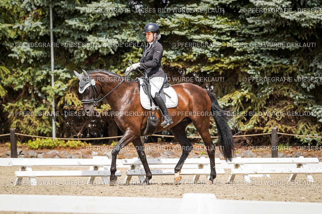 DSC02948 | Pferdegrafie