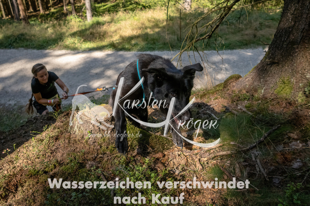 1241_ZZ94844 | kk-dogfotos