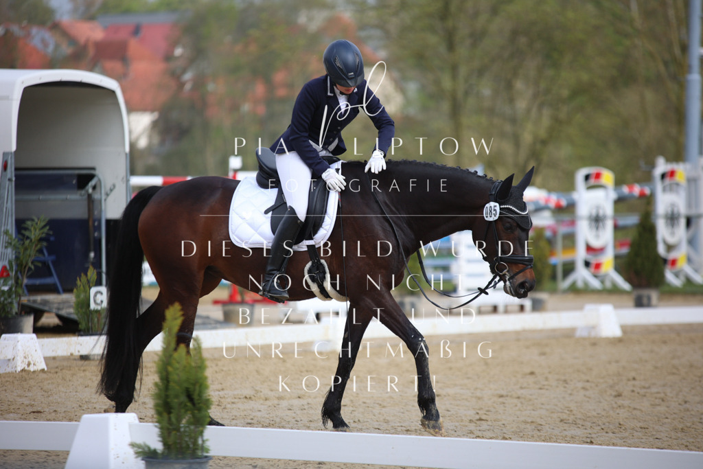 IMGT6142 | pl-fotografie