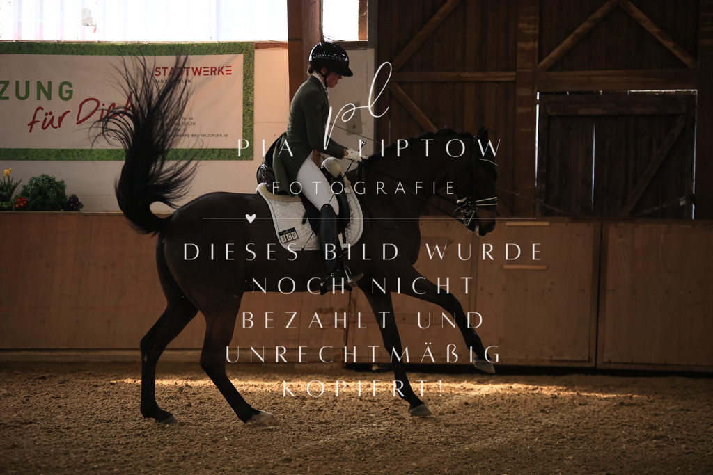 IMGT4136 | pl-fotografie