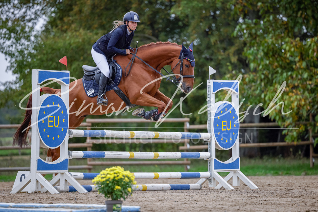 20251012-_3LI4578 | Tierfotografie Pferde, Hunde, Katzen, Haustiere.
Turnierfotografie Reitturniere, Reiten, Springreiten, Dressur in Hanau, dem Main-Kinzig-Kreis und dem Rhein-Main- Gebiet um Frankfurt