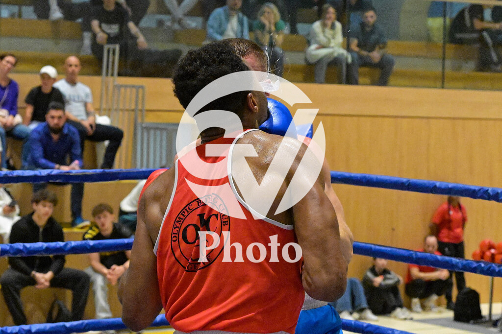 DSC_7018 | Velletri Photo