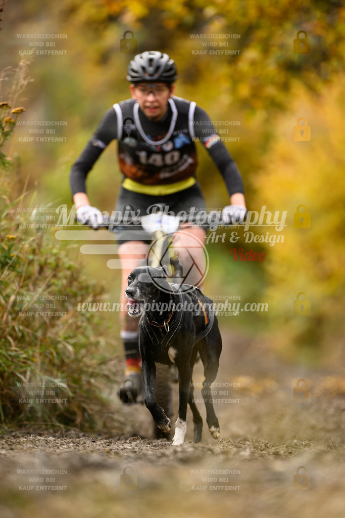 MompixPhotography_ICF_WC_2024_SA_Bike_-145 | PayLife