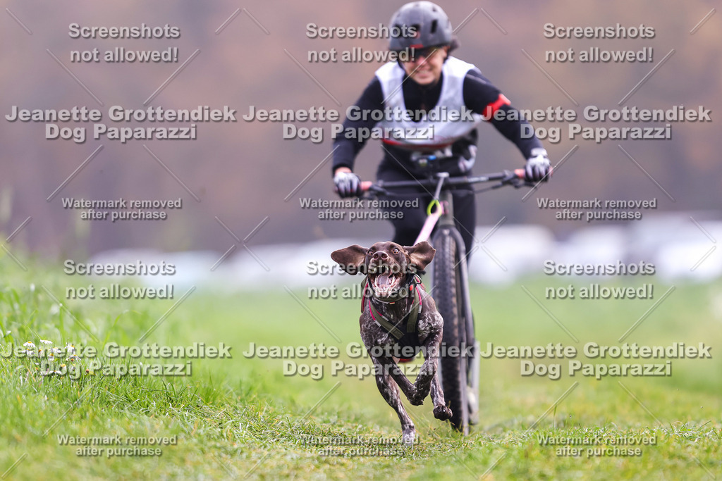 Dog Paparazzi - Visbeck 25 -274 | Dog Paparazzi Jeanette Grottendiek Fotografie & Videografie