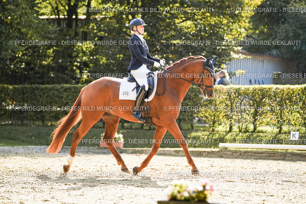 DSC07430 | Pferdegrafie