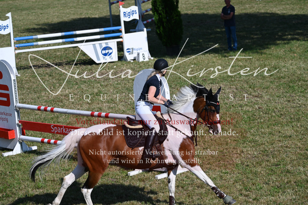 DSC_2396 | Pferde- und Turnierfotografie in Westsachsen. Pferdeportraits, Auftragszeichnungen und intuitive Kunst.
