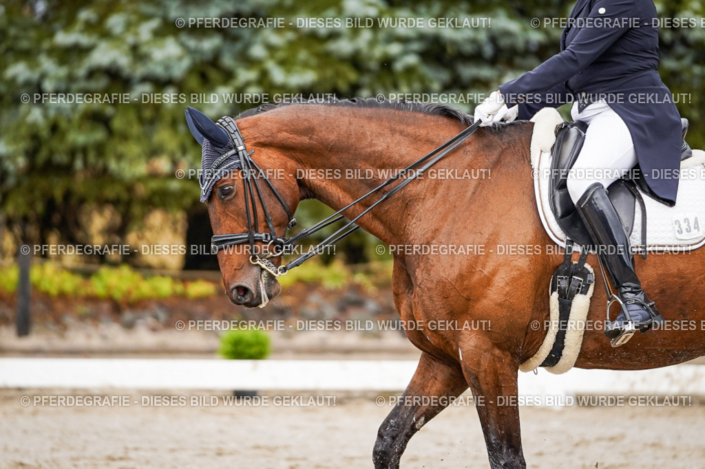 DSC09705 | Pferdegrafie