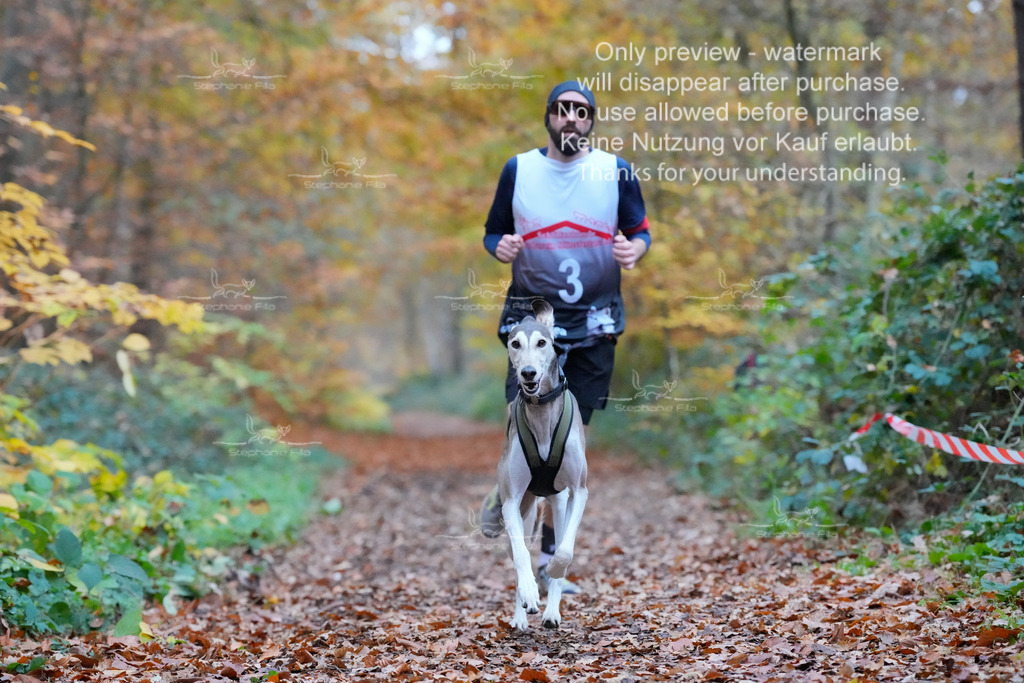 CC_So-13 | stephaniefillaphotographie - Realisiert mit Pictrs.com