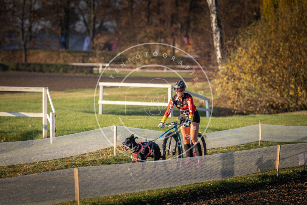 CaniXpix_DV3A0378 | Hundefotografie, Tierfotograf, Pfotenfotografie, Fotoshooting Hund, Hunde Portrait, Hundesport, Hundeportraits, Heideshooting, Hunde, Sportfotograf, Hundefotograf, Turnierhundsport, THS,  - Realisiert mit Pictrs.com
