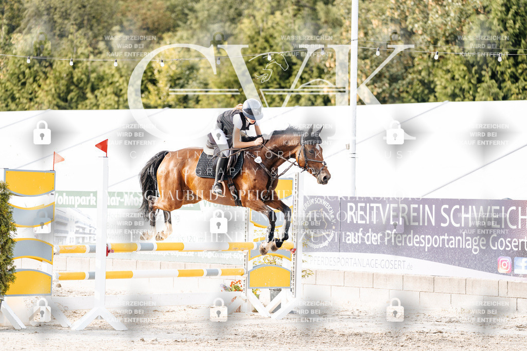 CK906976 | Turnierfotografie Pferdefotografie Trier Rheinland-Pfalz Pferdesport Reitsport Tierfotografie Sportfotografie Pferdevideo Pferdevideografie Equestrianvideography equestrianphotography  - Realisiert mit Pictrs.com