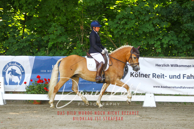 DKP42284 | Turniersportfotografie; Pferdefotografie; Dressurfotografie