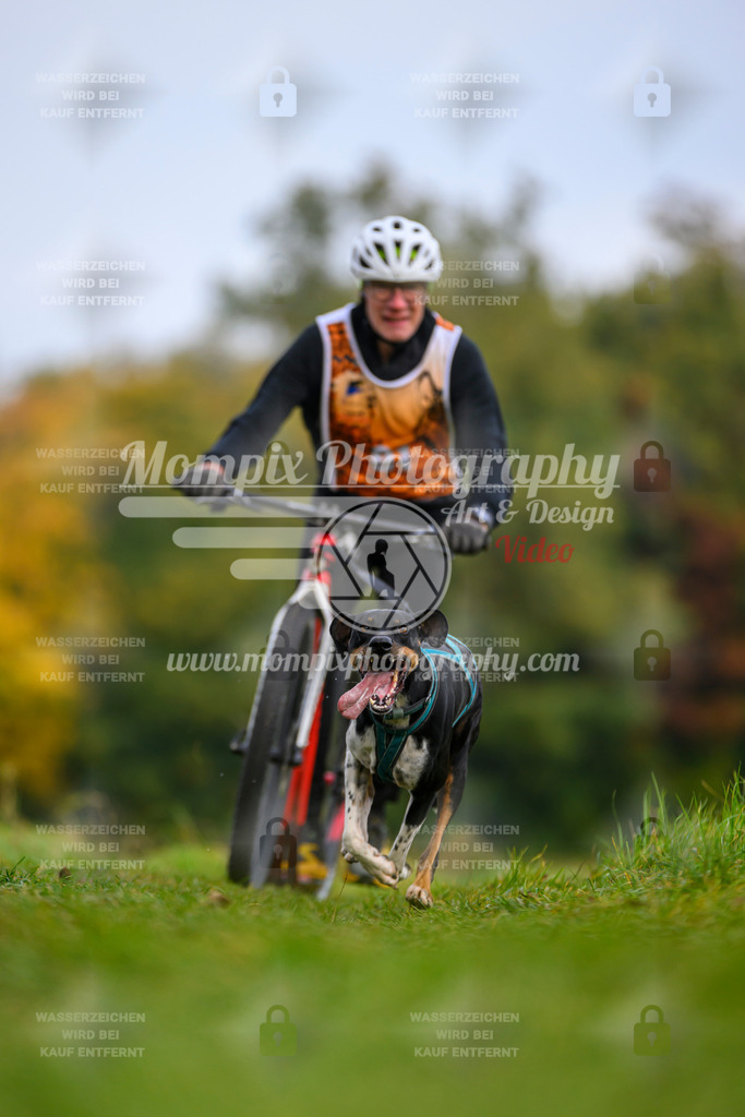 MompixPhotography_CDLBDB2025_DI_DS-56 | PayLife