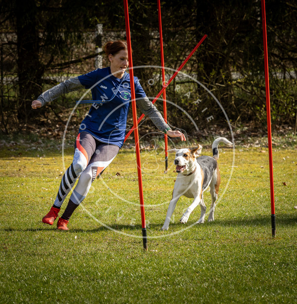 Pfotenfotografie_DV3A1882 | Hundefotografie, Tierfotograf, Pfotenfotografie, Fotoshooting Hund, Hunde Portrait, Hundesport, Hundeportraits, Heideshooting, Hunde, Sportfotograf, Hundefotograf, Turnierhundsport, THS,  - Realisiert mit Pictrs.com
