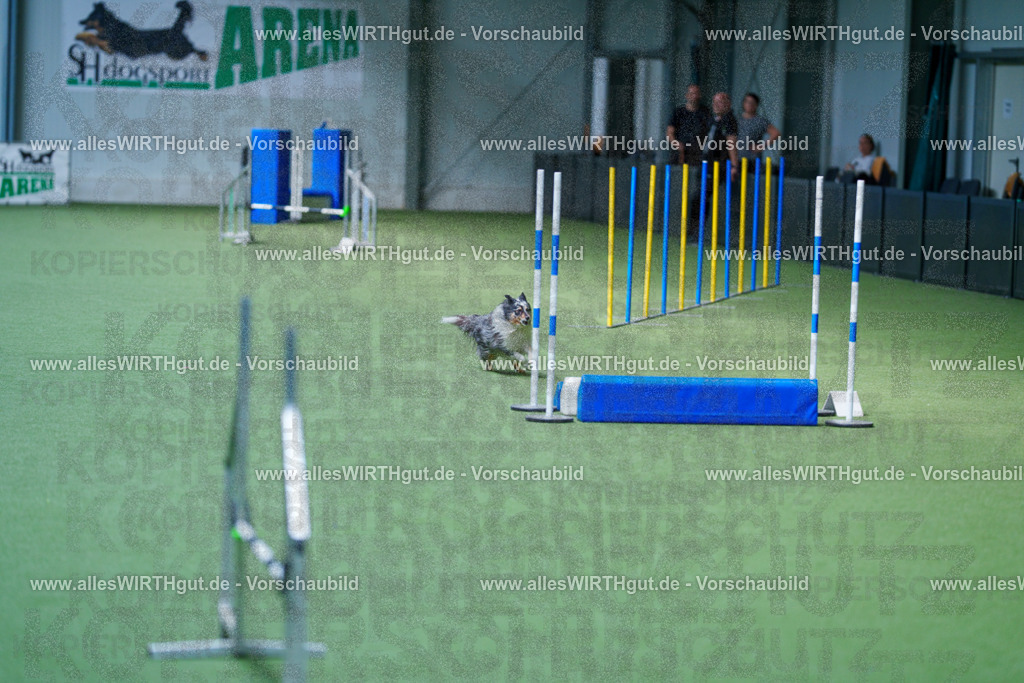 @allesWIRTHgut_Tierfotografie - www.allesWIRTHgut.de - 2604261337-7R502284 | Professionelle Tierfotografie in Mönchengladbach von Daniel Wirth (allesWIRTHgut). Liebevolle & natürliche Bilder von Hunden & Katzen für unvergessliche Erinnerungen.