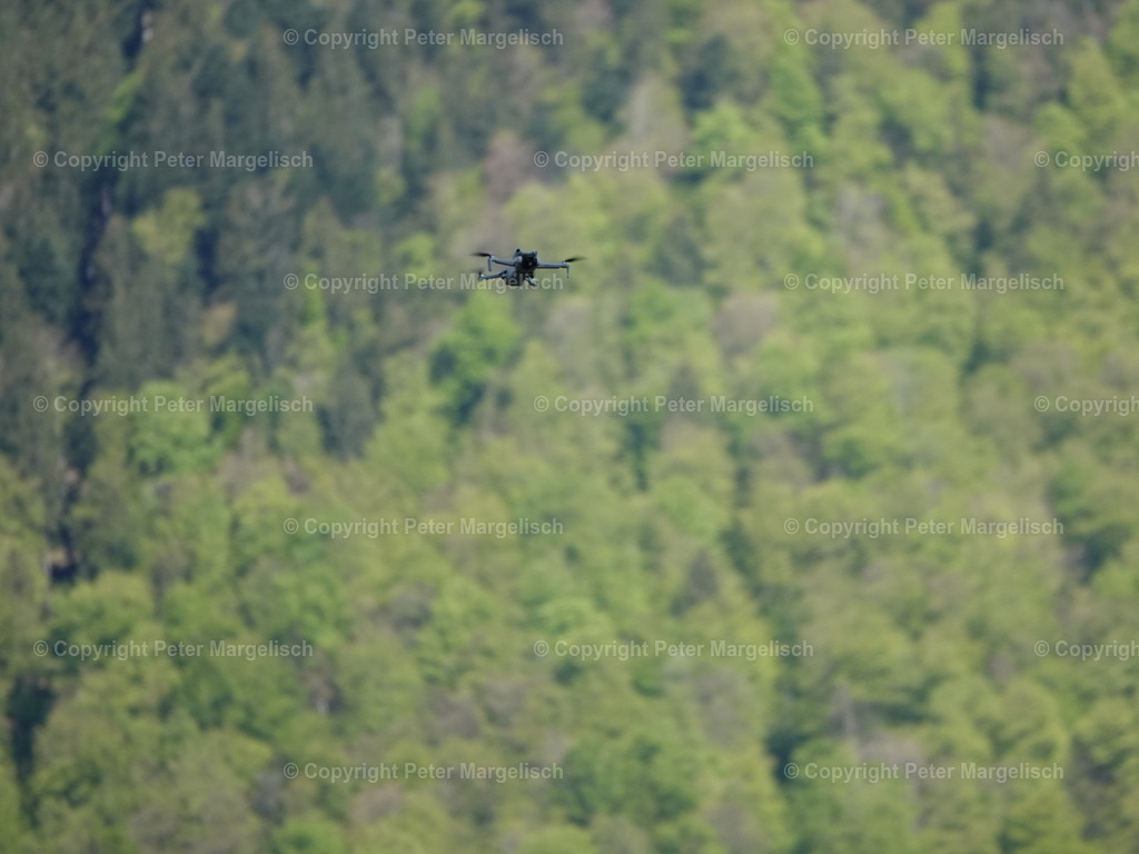 DSC07087 | Schwingen - Realisiert mit Pictrs.com