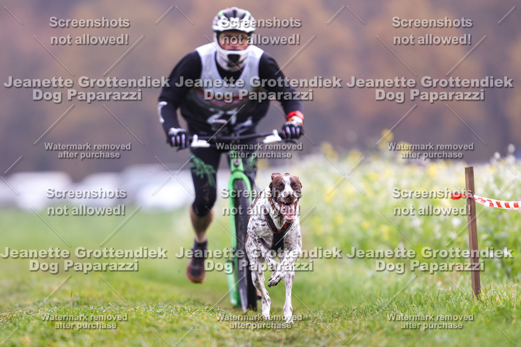 Dog Paparazzi - Visbeck 25 -281 | Dog Paparazzi Jeanette Grottendiek Fotografie & Videografie - Realisiert mit Pictrs.com