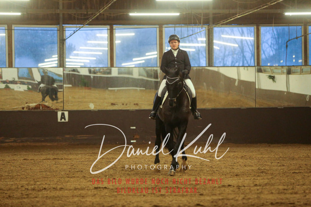 IMG_6921 | Turniersportfotografie; Pferdefotografie; Dressurfotografie