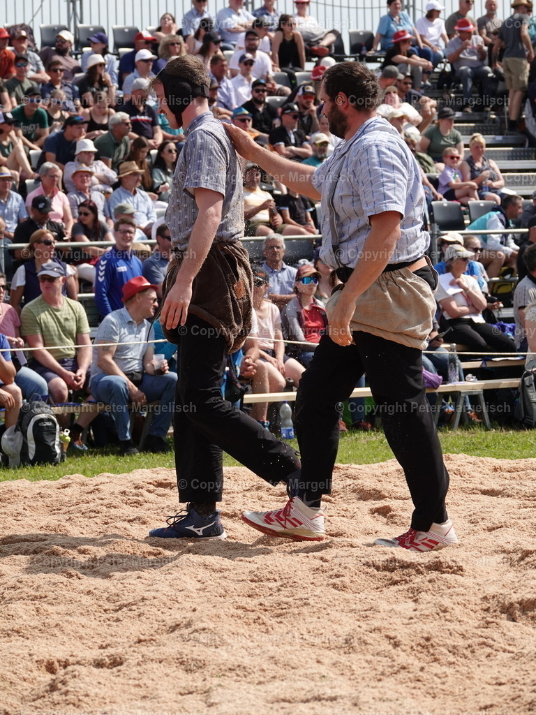 DSC06771 | Schwingen - Realisiert mit Pictrs.com