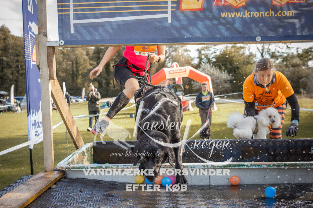 1307_ZZ99236-2 | kk-dogfotos
