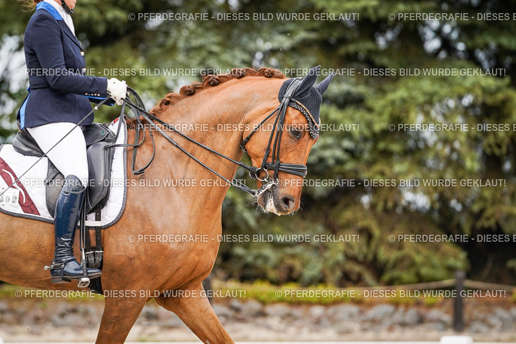 DSC07446 | Pferdegrafie