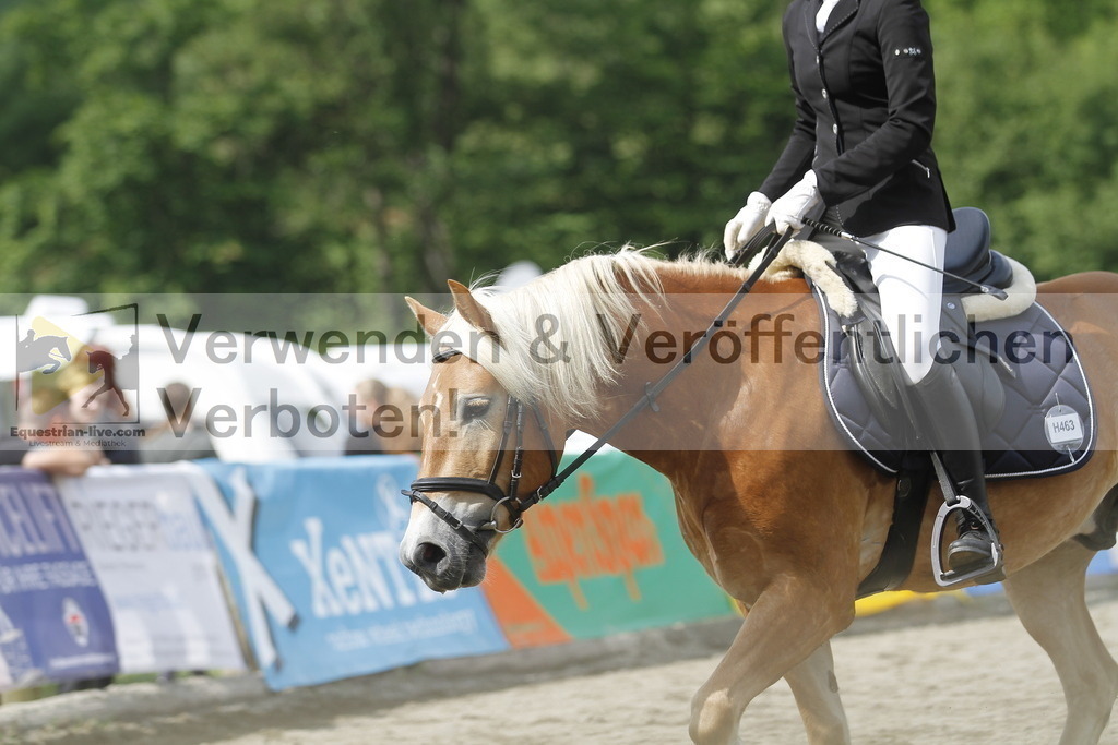 _MG_4605 | equestrian-live-com