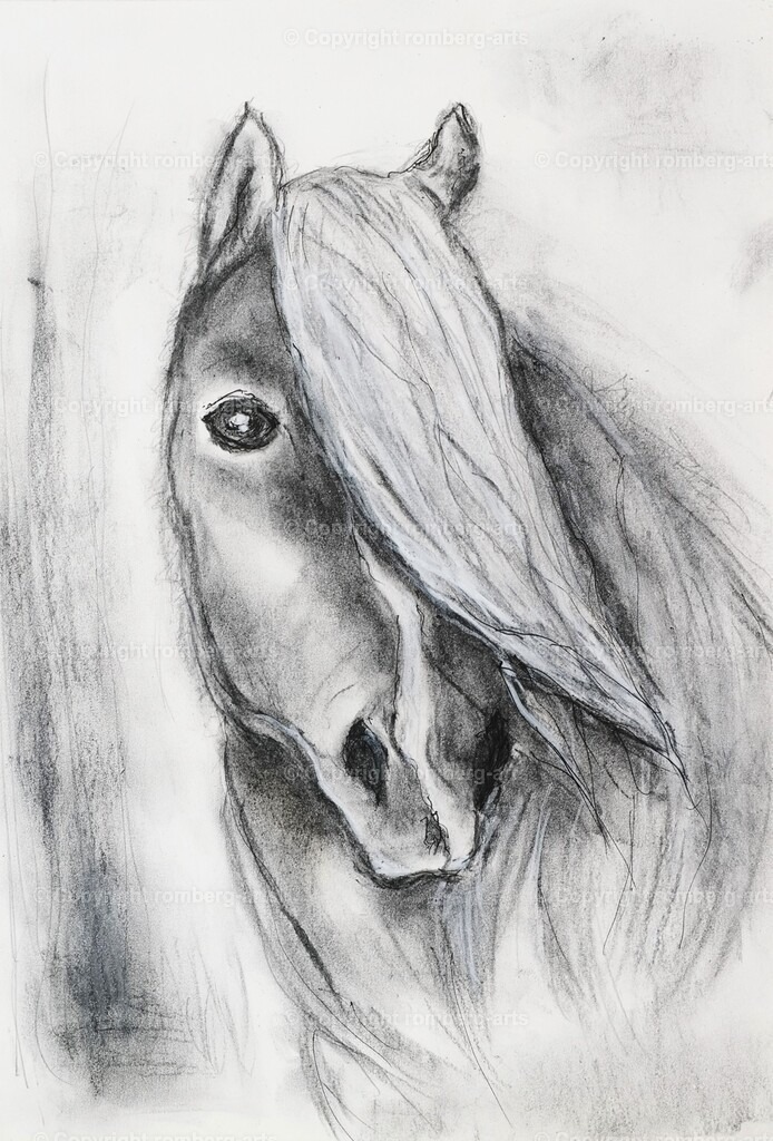 L1020460 | romberg-arts, romberg-arts.de, www.romberg-arts.de, Foto_Online_Shop, Julia Fuhrmann, Köln, Fotos, Fotografie, Fotokunst, Kunstdrucke, Naturfotos, Aktfotos, Nacktfotos, schwarz_weiß_Fotos, Blumenfotos, Blumen, Tiere, Beton, Korrosion, Lächeln, Drucke