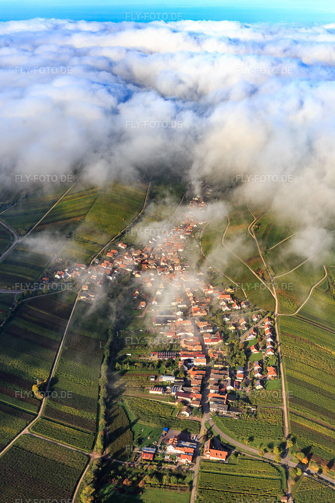 Luftbild: Winzerdorfansicht unter Wolken aus Osten in Ranschbach im Bundesland Rheinland-Pfalz in Deutschland. Foto: IMG_103769.jpg vom 01.10.2017 durch Werner Riehm/FLY-FOTO.de