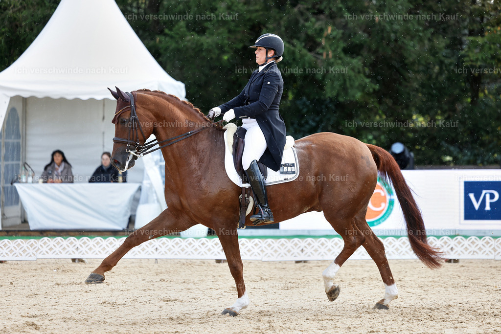 10-230-ST.GEORG SPECIAL -StoibPH-3167 | working equitationturnier fotograf videograf stoibphotography marixx film working equitation deutschland reitsport turnierfotografie eventfotografie equestrian events