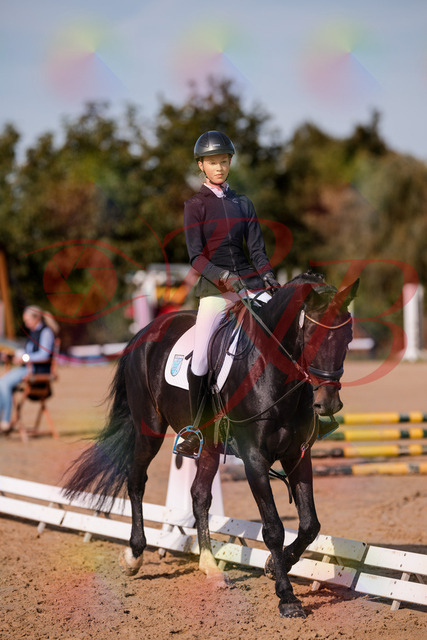 2026_10_03_Siefer-Hof_115731_Z81_98061948 | Professionelle Reitsport-, Turnier- und Eventfotografie von Robert Broda. Galerien mit ausgewählten und bearbeiteten Bildern direkt online ansehen und bestellen.