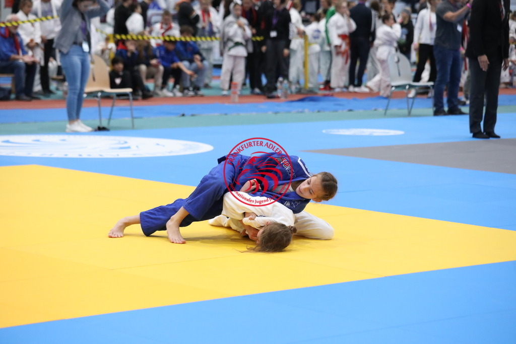 1J7A2277 | Fotos vom Adler Cup - Pictures from Adler Cup

Hier findet Ihr alle Eindrücke und großen Momente der Adler Cup Wochenenden. Here you will find all impressions and great moments of the Adler Cup weekends. - Realisiert mit Pictrs.com