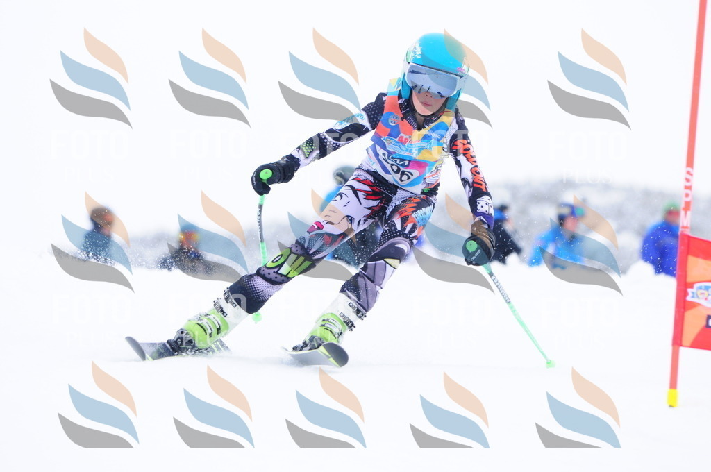 C4195 | holidayphoto