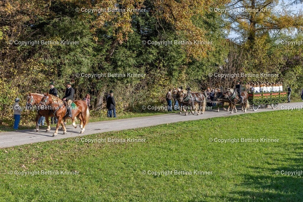 LBT24-309 | foto-bettina-krinner - Realisiert mit Pictrs.com
