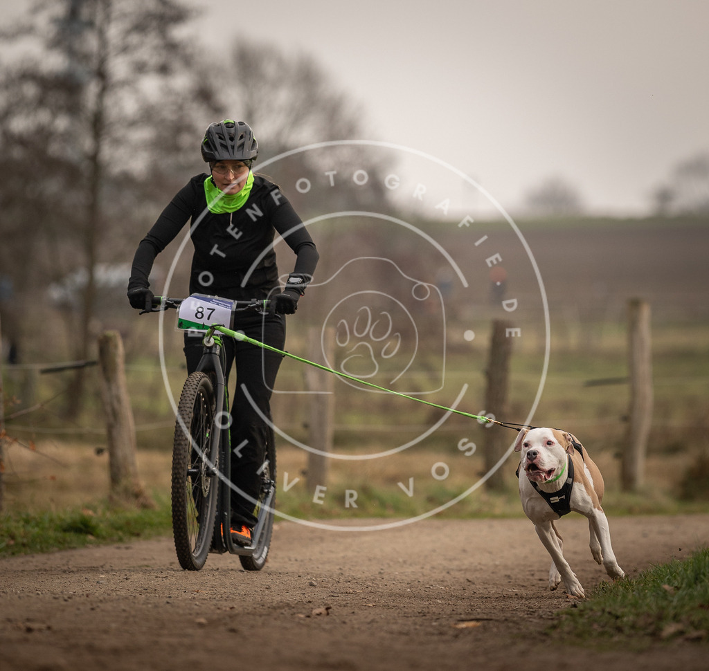 Pfotenfotografie_DV3A4121 | Hundefotografie, Tierfotograf, Pfotenfotografie, Fotoshooting Hund, Hunde Portrait, Hundesport, Hundeportraits, Heideshooting, Hunde, Sportfotograf, Hundefotograf, Turnierhundsport, THS,  - Realisiert mit Pictrs.com