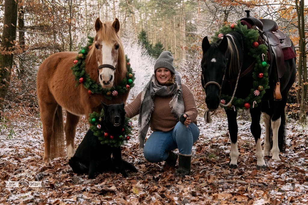 Lieblingsbilder_Photoboo_40 | Pferde- und Hundefotografie in Köln und Umgebung von Vanessza Csuka - Realisiert mit Pictrs.com