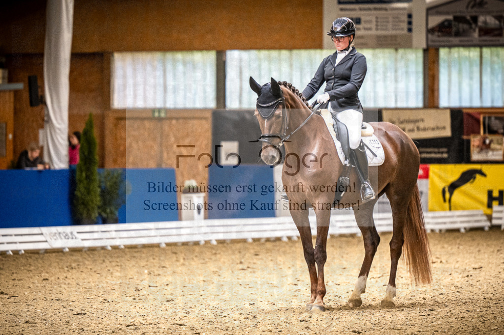 DOS_1462 | Entdecke hochwertige Reitturnierfotos von Foto Oger. Professionell, emotional und authentisch – jetzt Lieblingsmomente im Shop bestellen.Deutschlandweite Turnierfotografie. - Realisiert mit Pictrs.com