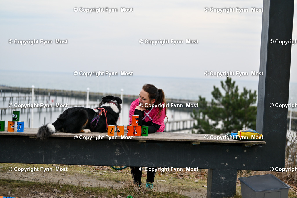 DSC_2440 | Hallo und herzlich Willkommen auf meiner Shop-Seite Fynn Most.

Ich wünsche Dir viel Spaß beim stöbern durch die Bilder, wenn Du Fragen hast oder Bilder vermisst, kannst du mir gerne eine Nachricht schreiben. - Realisiert mit Pictrs.com