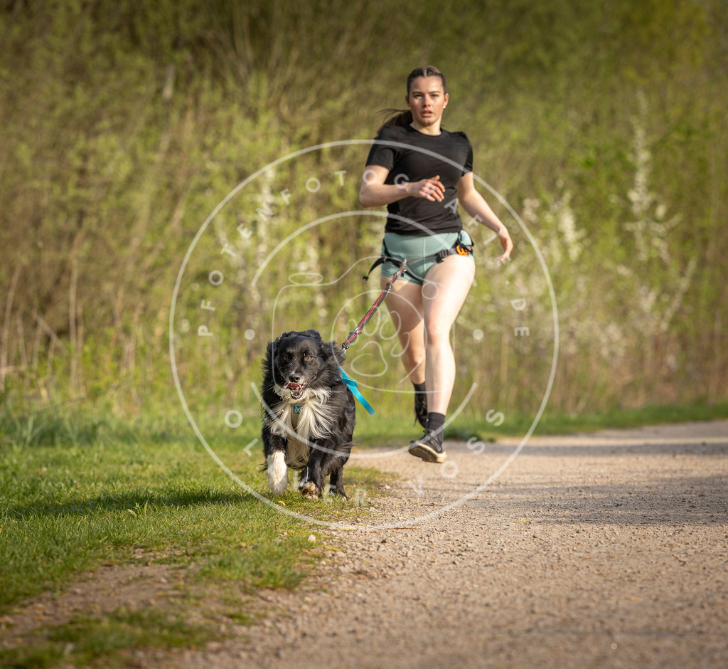 Pfotenfotografie_DV3A4650 | Hundefotografie, Tierfotograf, Pfotenfotografie, Fotoshooting Hund, Hunde Portrait, Hundesport, Hundeportraits, Heideshooting, Hunde, Sportfotograf, Hundefotograf, Turnierhundsport, THS,  - Realisiert mit Pictrs.com