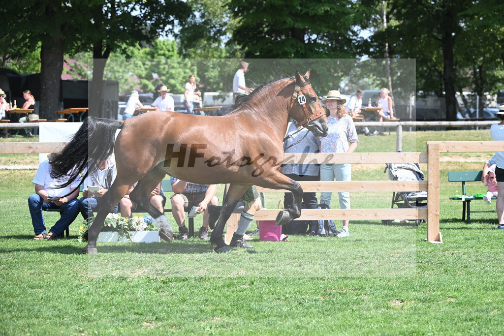 Kat-Nr. 24 Pepper_Gasteiger_20230360 | hf-fotografie - Realisiert mit Pictrs.com